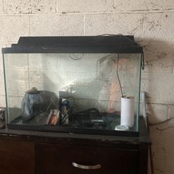 Fish Tank