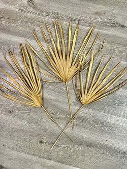 Set Of 3 Palmetto Leaves