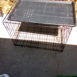 big dog crate 