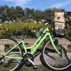 Raleigh Detour 1 with Added Accessories 