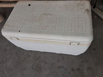 LG Igloo cooler
