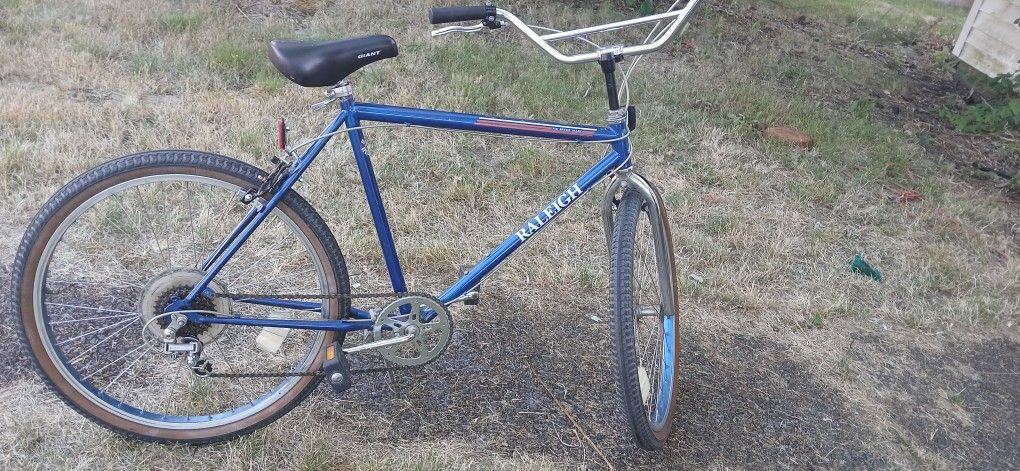 Tall Vintage Raleigh 6 Speed Cruiser