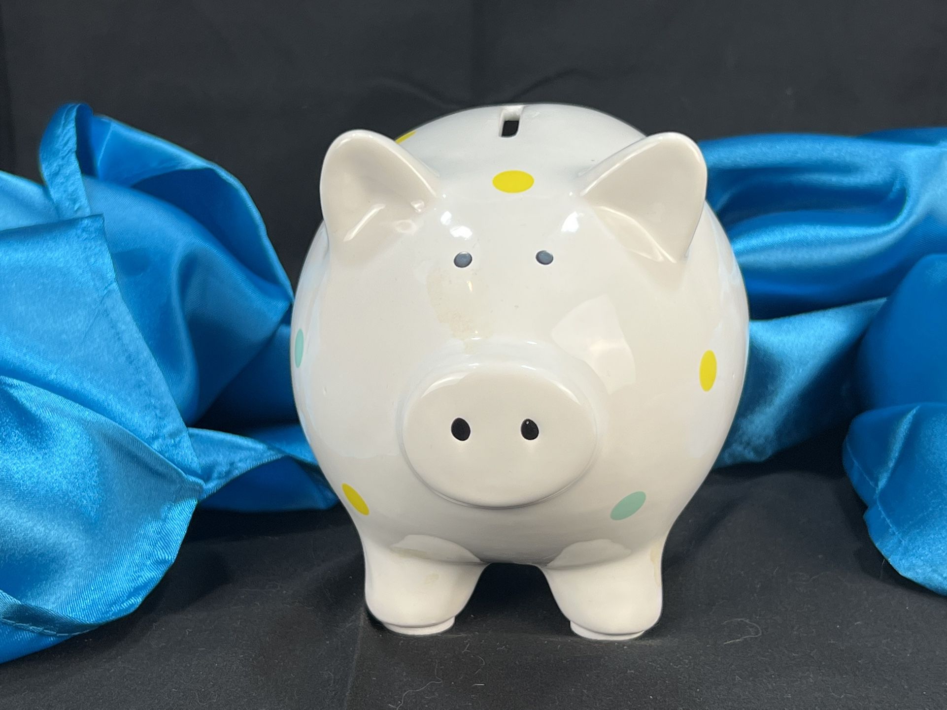 Pig Piggy Bank