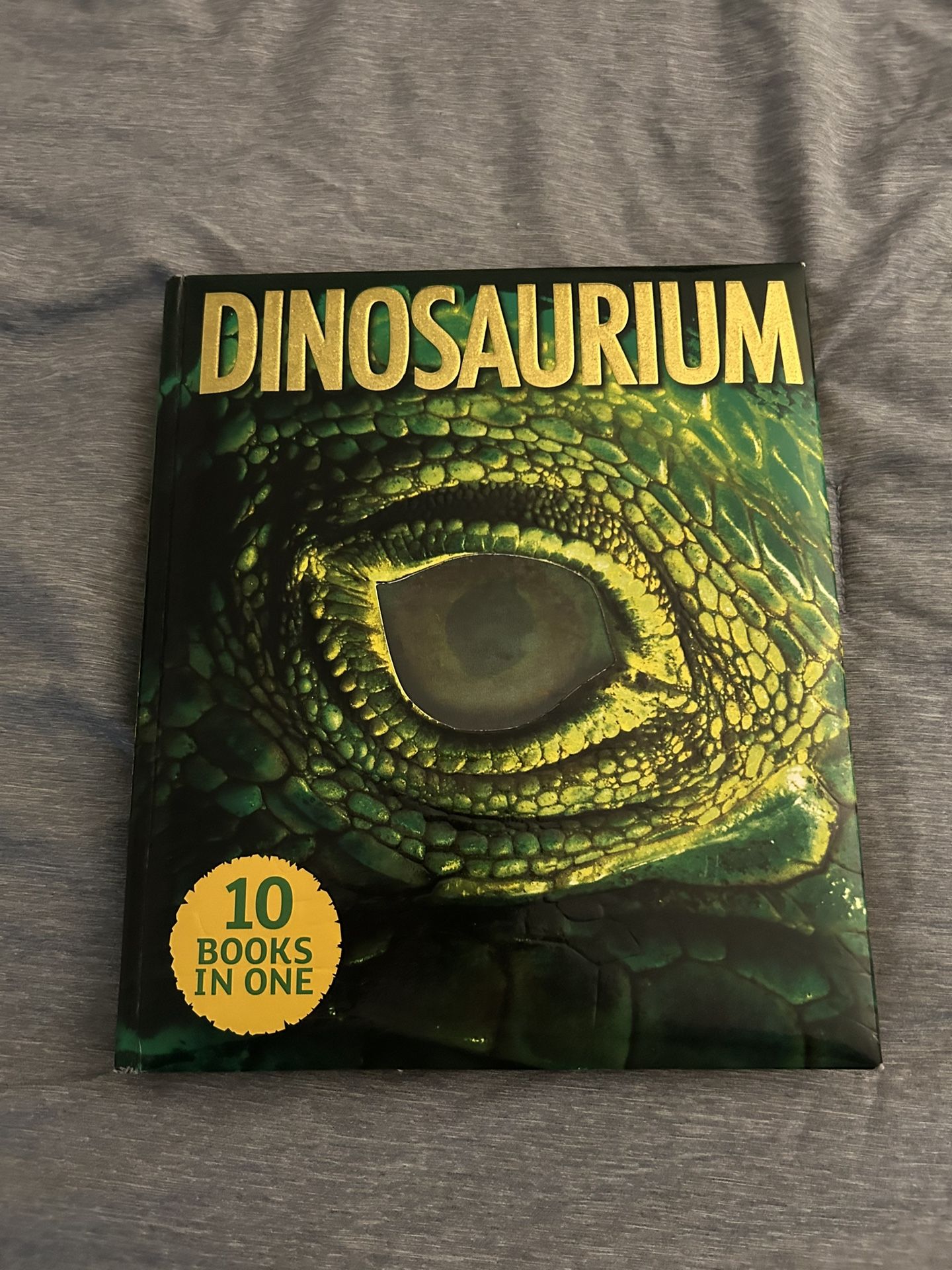 dinosaur book.