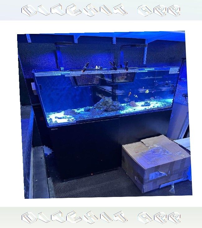 alone civil High-End Aquarium Setup - Superior Quality Choice