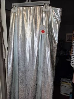 Silver Metallic Maxi Skirt with Tags