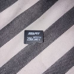 SD Card 256GB