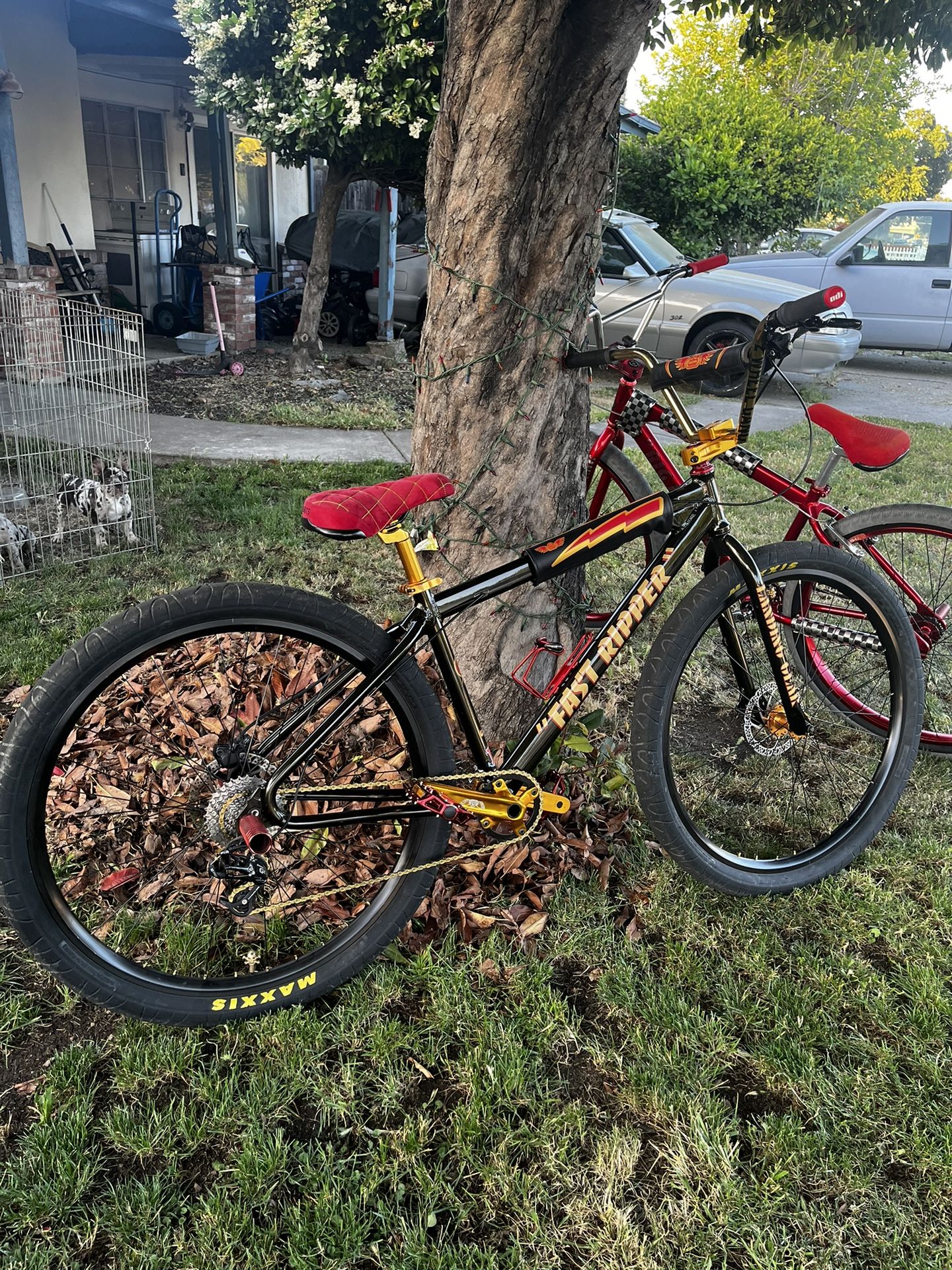 Fast Ripper And Red Ano Big Ripper for Sale in Stockton, CA OfferUp