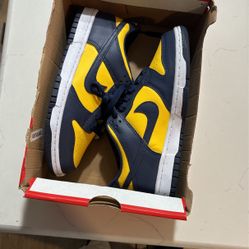 Dunks Size 6 Brand New 