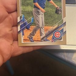 Alec Mills 1163/2021 Baseball Card
