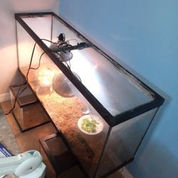 Asst.  VieledChameleon Enclosure