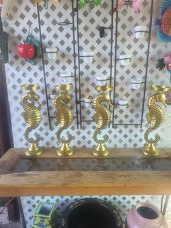 Brass seahorse/25 each