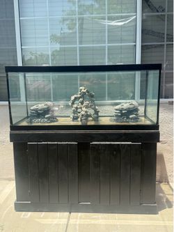 Aquarium
