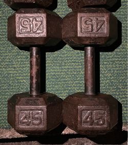 45lb dumbbell set dumbbells 45 lb lbs 45lbs weight weights cast iron hex pound # pair pounds forty five