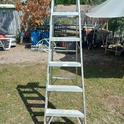 6 Feet Aluminum Ladder 