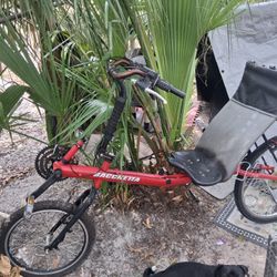 Bacchetta 20