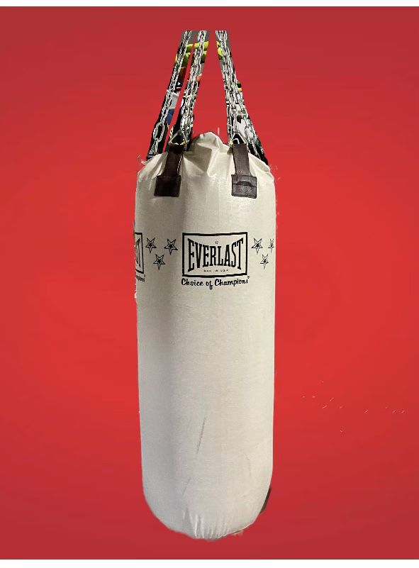 lading Inhalen koffie Everlast Choice of Champions Punching Bag for Sale in Manalapan Township,  NJ - OfferUp