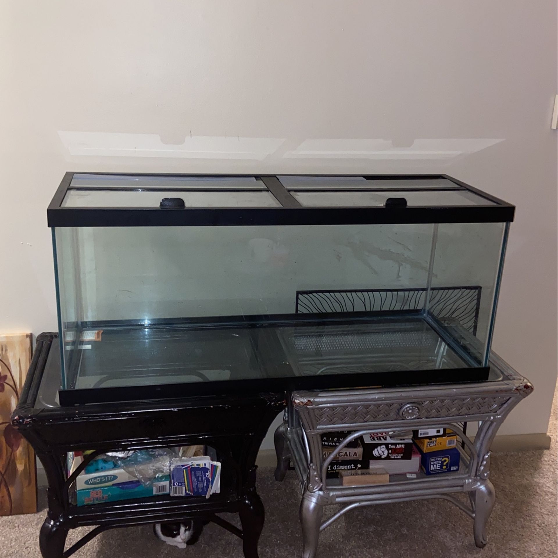 75 Gallon Aquarium