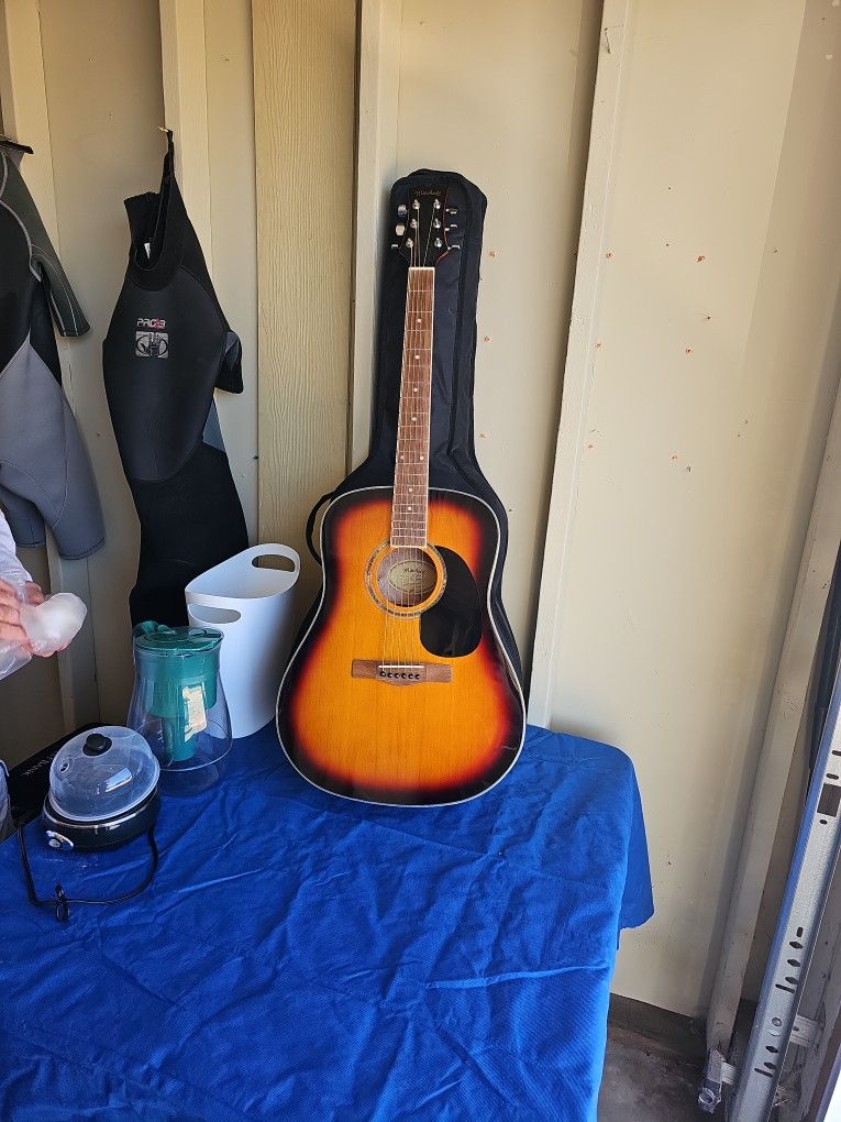 Mitchell Guitar