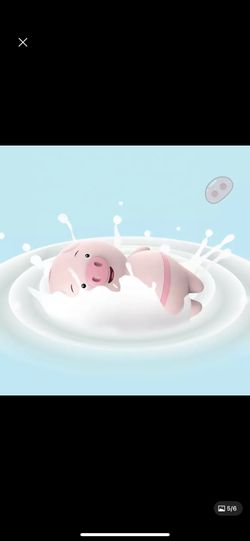 Pig Toy