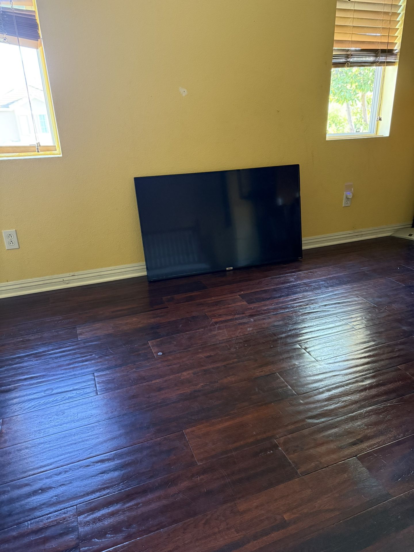 Roku Element TV 32 Inch
