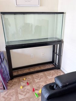 55 gal aquarium and stand