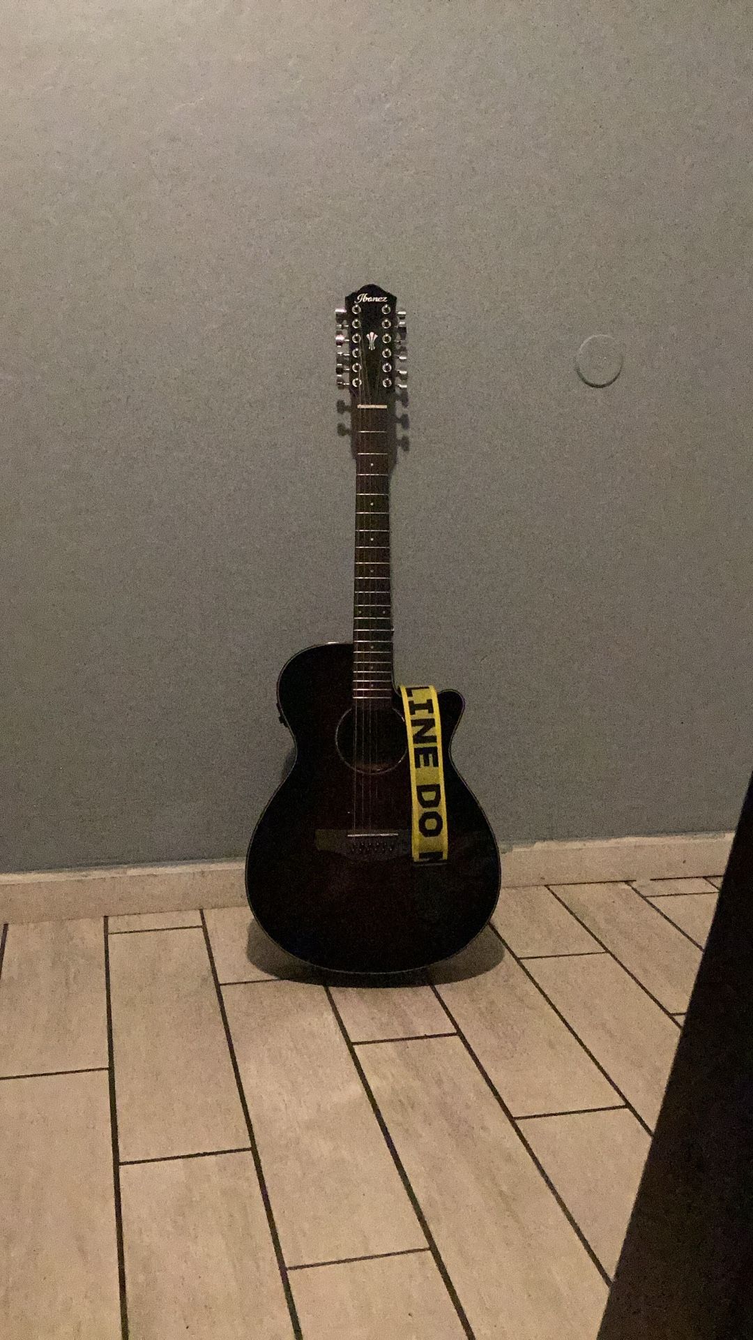 Ibanez 12 String Guitar Brown/Black Color ,With Strap, With Brand New Battery , With Case ,