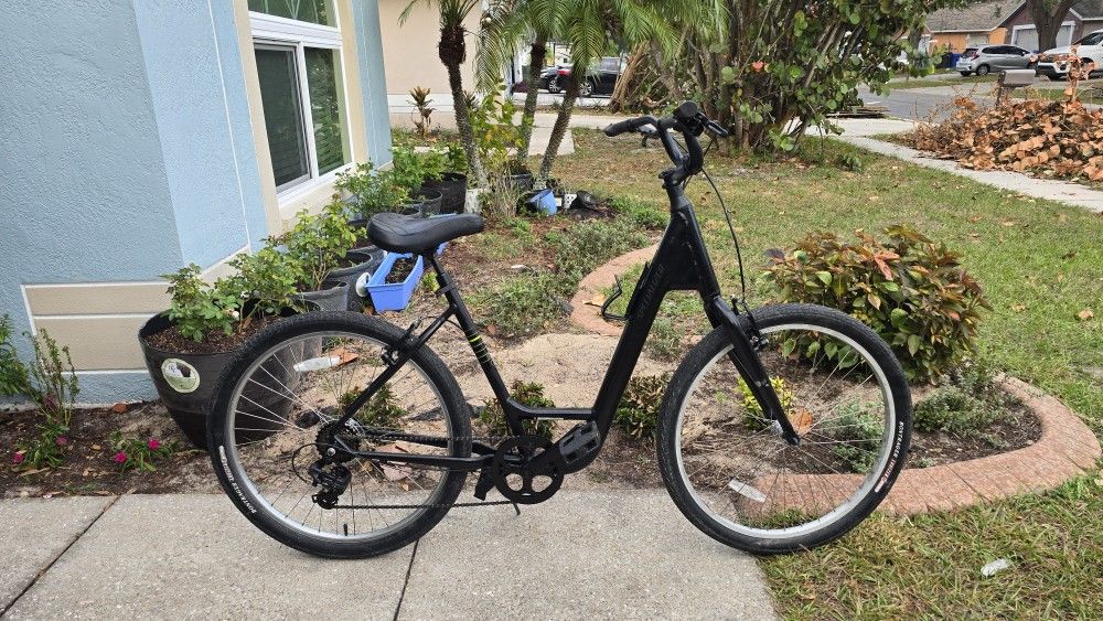 2020 Specialized Rolls Low Entry Bike