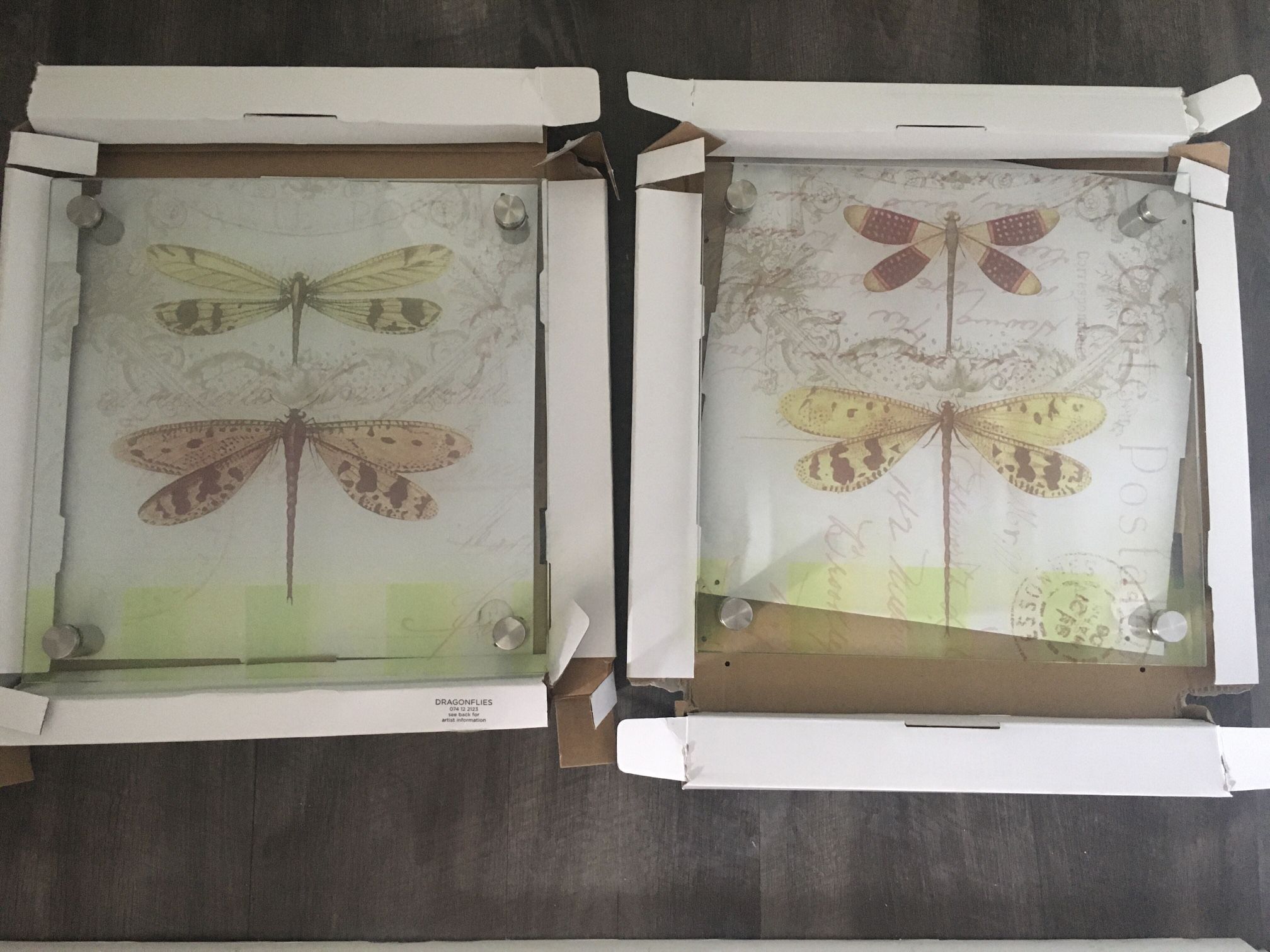 Dragonfly Wall Art - 2 pieces