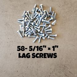 58- 5/16 INCH X 1 INCH LAG SCREWS 