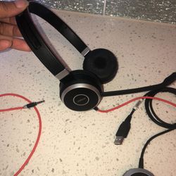 Jabra Evolve 40 UC Wired Headset