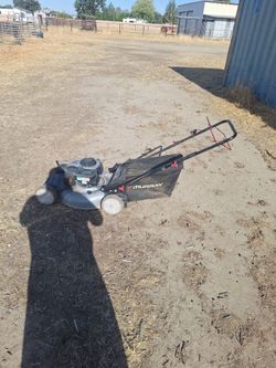 Grass cutter