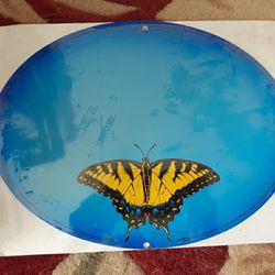 Decorative ovals. Customized Lettering