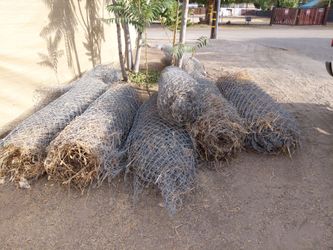 Chain link fence