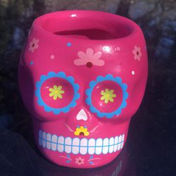 Day of the Dead Skull Hot Pink Succulent Planter