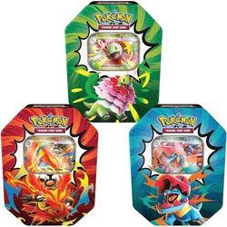 Pokémon Trading Card Game Tins choose 1 of 3 ascended heroes