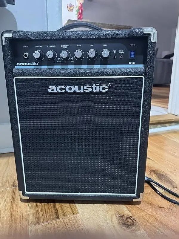 Acoustic B-15 Amp
