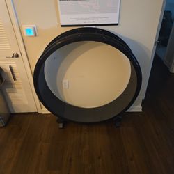 One Fast Cat Exercise Wheel