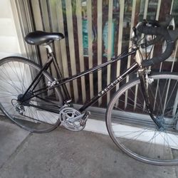 RELIEGH Road Bike