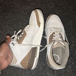 Palomino 3’s