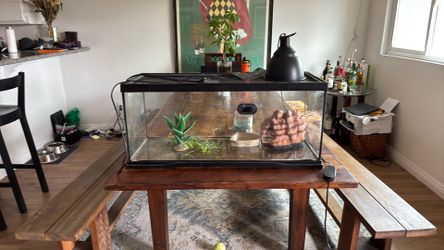 20 gallon terrarium reptile tank