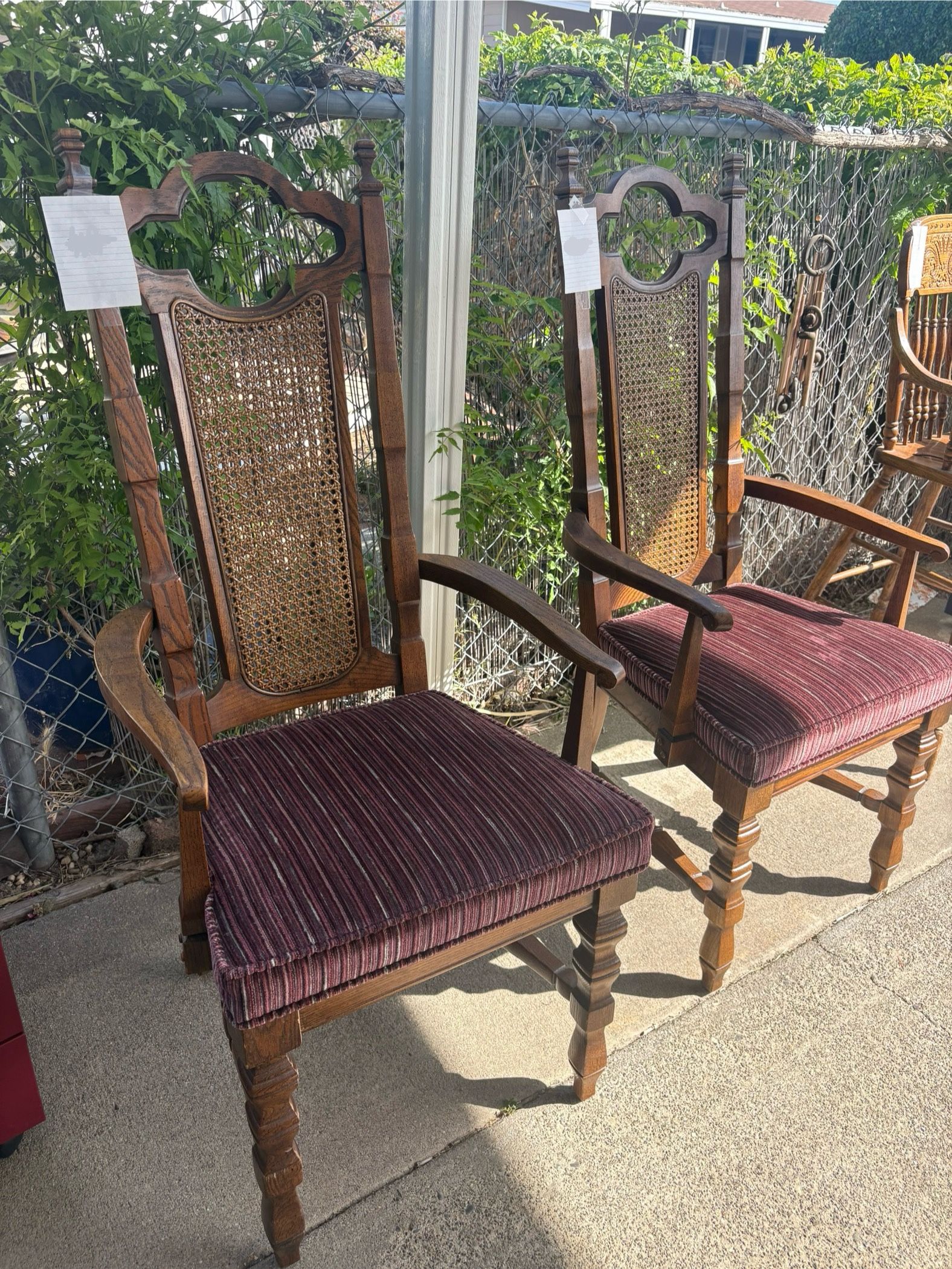 Dining Chairs