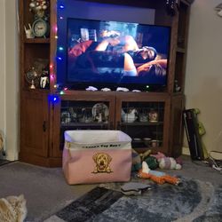 Entertainment Center