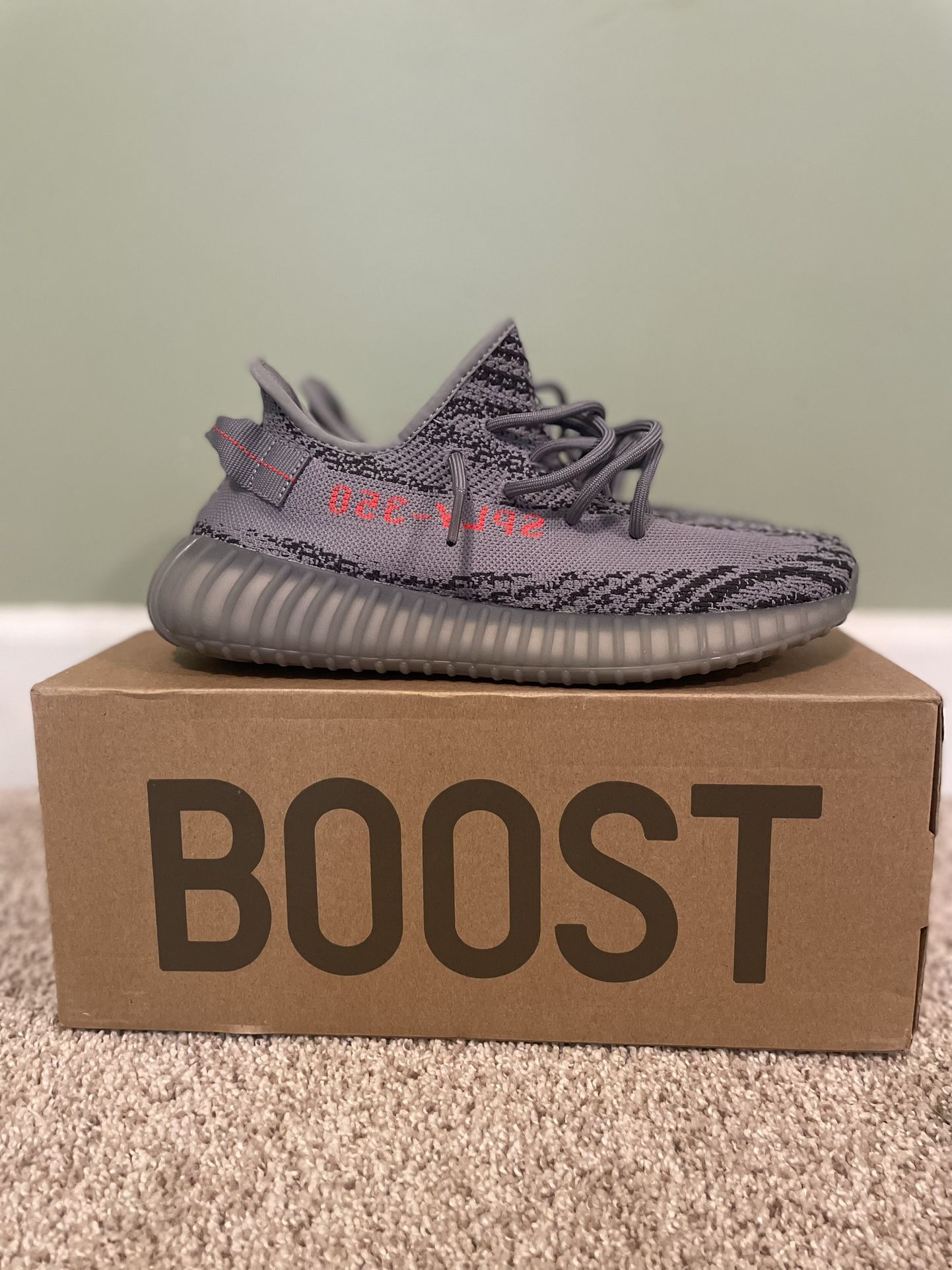 Yeezy Boost 350 Size 9 - $180