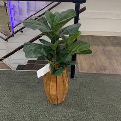 Full Size Plant 