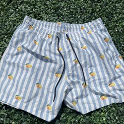 Men Boardshorts