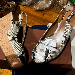 Coach shoes