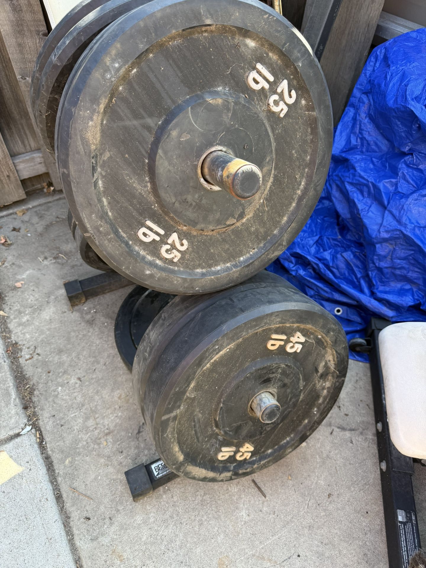 260 Lbs Olympic Bumper Plates. Plus Rack FIRM PRICE 