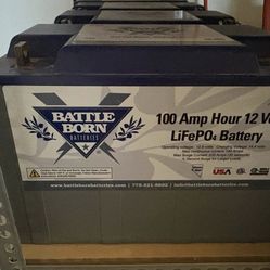 12 V Battle Born LiFePO4 Batteries