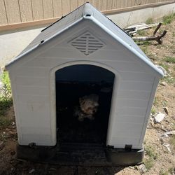 Large Dog House 